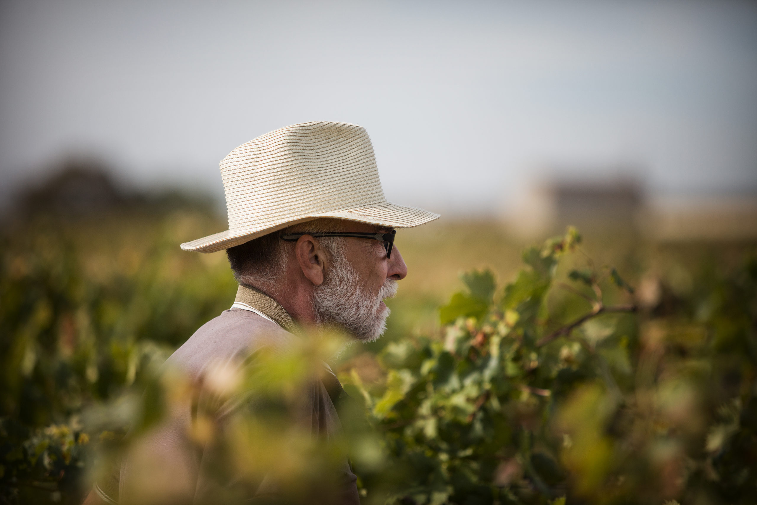 The respect of biodiversity 